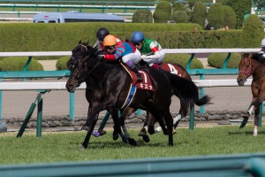 ラキシス 競馬times 予想 結果 ニュースの無料ネットケイバサイト