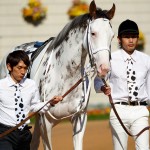 ブチコだけじゃない!?北米で白毛馬ウェアザマスクの勝利が話題に!