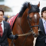 将来のGI馬!?スクリーンヒーロー産駒モーリスに注目したい4つの理由