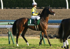 “残念桜花賞”なんて言わせない!忘れな草賞にミッキークイーンやロカら良血馬たちが集結