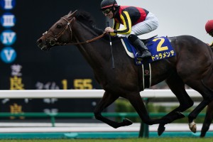 ドゥラメンテの血統表=日本競馬の歴史!名牝エアグルーヴやダイナカールの血
