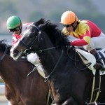 成功もありえる?ザサンデーフサイチが優駿スタリオンで種牡馬入り