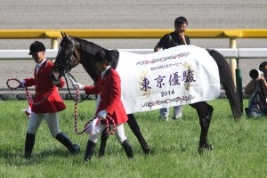 日本ダービーのトレンドって?過去の好走馬たちの血統的共通点を探る