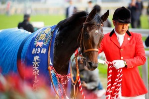 ダービーでこそ! サトノクラウンが皐月賞惨敗から巻き返す3つの根拠