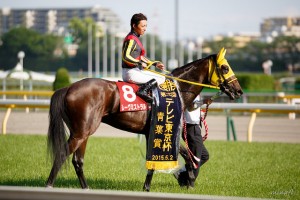 ミッキークイーンに続け!ダービー別路線組の動向〜青葉賞、京都新聞杯など〜