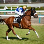 オークスに届かなかった馬たち〜ロカ、ダイワミランダ、フロレットアレーら〜