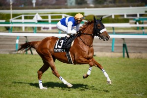 オークスに届かなかった馬たち〜ロカ、ダイワミランダ、フロレットアレーら〜
