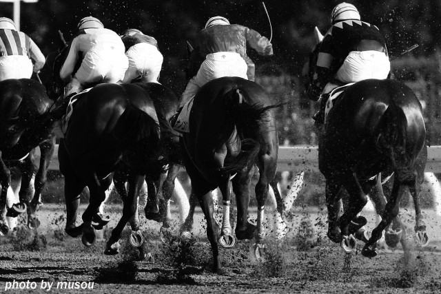 日本ダービーだけがダービーだけじゃない 地方競馬でもダービーウィークが始まります