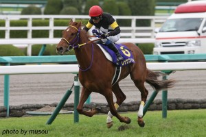 オークス(2015年)の傾向と対策!予想のポイントは?