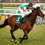 中山牝馬S2018の競馬予想分析…過去の血統と種牡馬、明確な共通点とは?