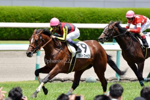 日本ダービー・皐月賞・菊花賞(2016年)JRAクラシック番付牡馬編/7月第1週