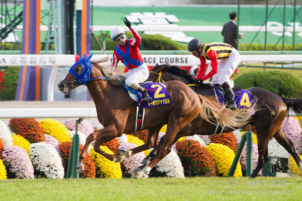 トーホウジャッカルは札幌記念で復活して歴史的名馬への道を歩めるのか？