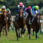 ロードクエストやコウエイテンマが勝利!新馬戦の評価は?/JRA・6月第1週