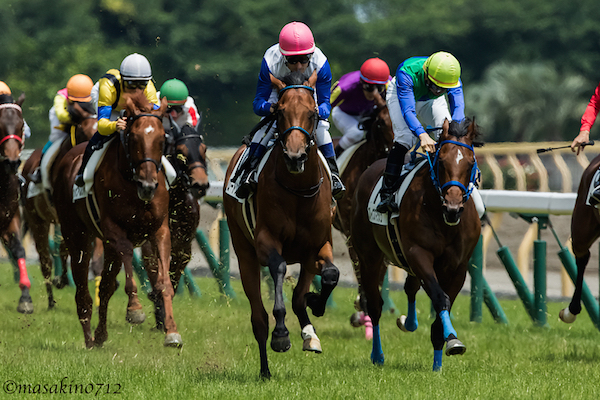 中京記念2019の競馬予想分析！6つのデータから導く勝ち馬候補