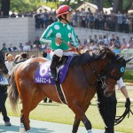 悲運の名馬!ベルルミエールがGIや重賞で活躍する可能性大な理由とは?