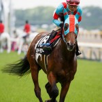 マルターズアポジーの血統や将来性は?ラジオNIKKEI賞3着馬を徹底分析