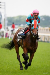 マルターズアポジーの血統や将来性は?ラジオNIKKEI賞3着馬を徹底分析