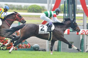 桜花賞・オークス・秋華賞(2016年)JRAクラシック番付牝馬編/7月第1週