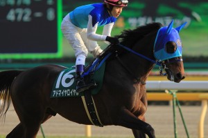プロキオンステークス(2015年)血統予想考察!リピーターレースと捉えていいのか?