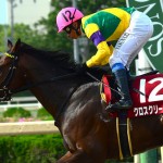 レパードステークス(2015年)予想考察!5つの消しファクターとは?