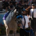 レッドファルクスの勝因、サトノアラジンの敗因は?京王杯SC2017結果・動画
