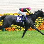 秋華賞2017の予想オッズ・出走予定馬と過去の傾向は?