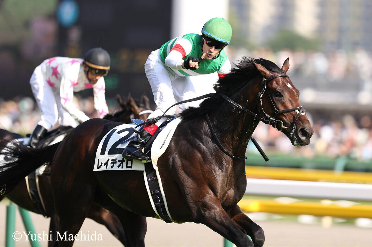 日本ダービー2018の競馬予想分析…過去の血統と種牡馬の共通点は？