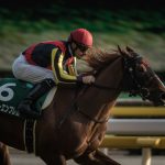 クイーンカップ2018の競馬予想分析…過去の血統と種牡馬、明確な共通点とは?