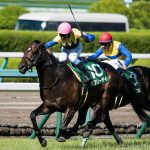 鳴尾記念2017の予想オッズは?過去5年のデータ傾向を徹底分析