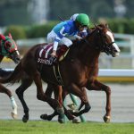 天皇賞春2018の予想オッズ・人気と日程、出走予定馬と過去の傾向は?