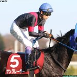 阪神カップ2017の競馬予想分析…サングレーザーが危険な人気馬になりえる3つの理由