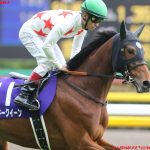 有馬記念2017の競馬予想データ分析…ミッキークイーン、激走への3つの注目点