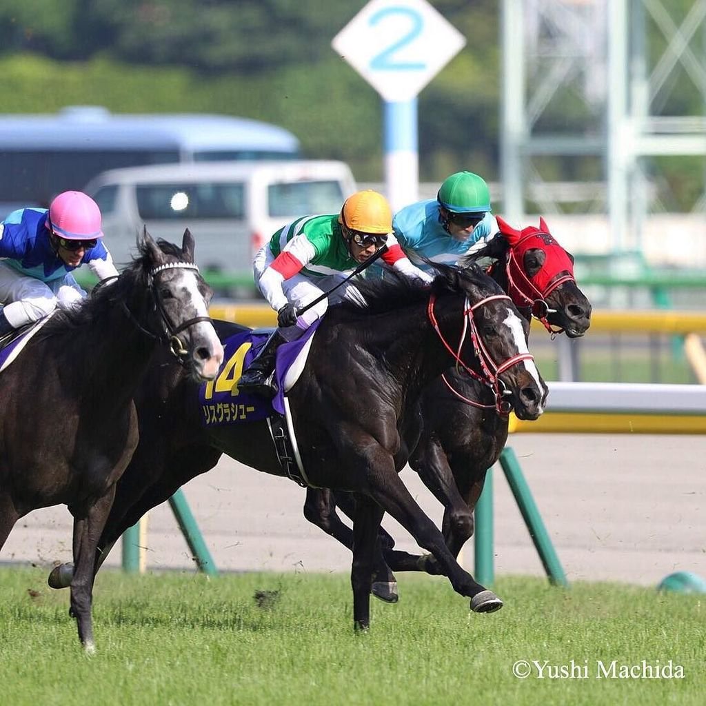 東京新聞杯2018の競馬予想分析…リスグラシューが牡馬斬りへ！3つの期待要素