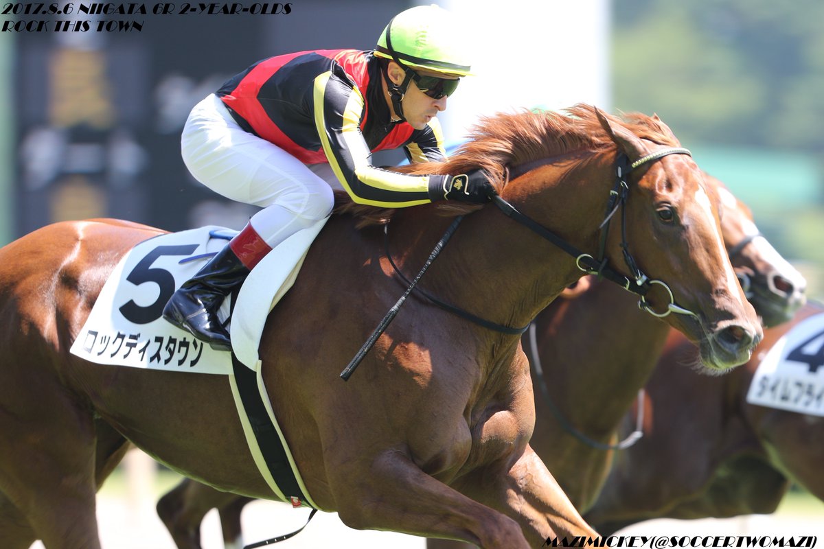 札幌2歳S2018の競馬予想分析！過去の血統と種牡馬の共通点とは？