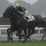 共同通信杯2018の最新人気・予想オッズ、出走予定馬は?過去の歴代勝ち馬一覧