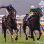 ジャパンカップ2017の予想分析…キタサンブラックら前走重馬場・不良馬場の影響は?