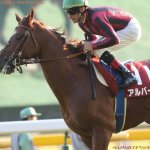 ダイヤモンドS2018の競馬予想分析…過去の血統と種牡馬、明確な共通点とは?