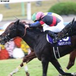 中山記念2018の競馬予想分析…ペルシアンナイト好走への3つの期待と唯一の不安要素