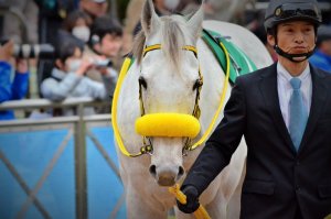 地方競馬ニュース 競馬times 予想 結果 ニュースの無料ネットケイバサイト