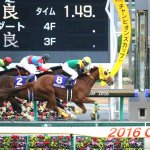 チャンピオンズカップ2017の予想分析…サウンドトゥルーの3つの好材料と2つの懸念