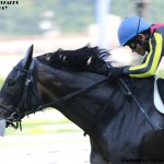中山牝馬S2018の競馬予想分析…ワンブレスアウェイの激走を示す3ポイント