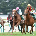シンザン記念2018の競馬予想データ分析…5つの消しで好走率4割超、回収率180超