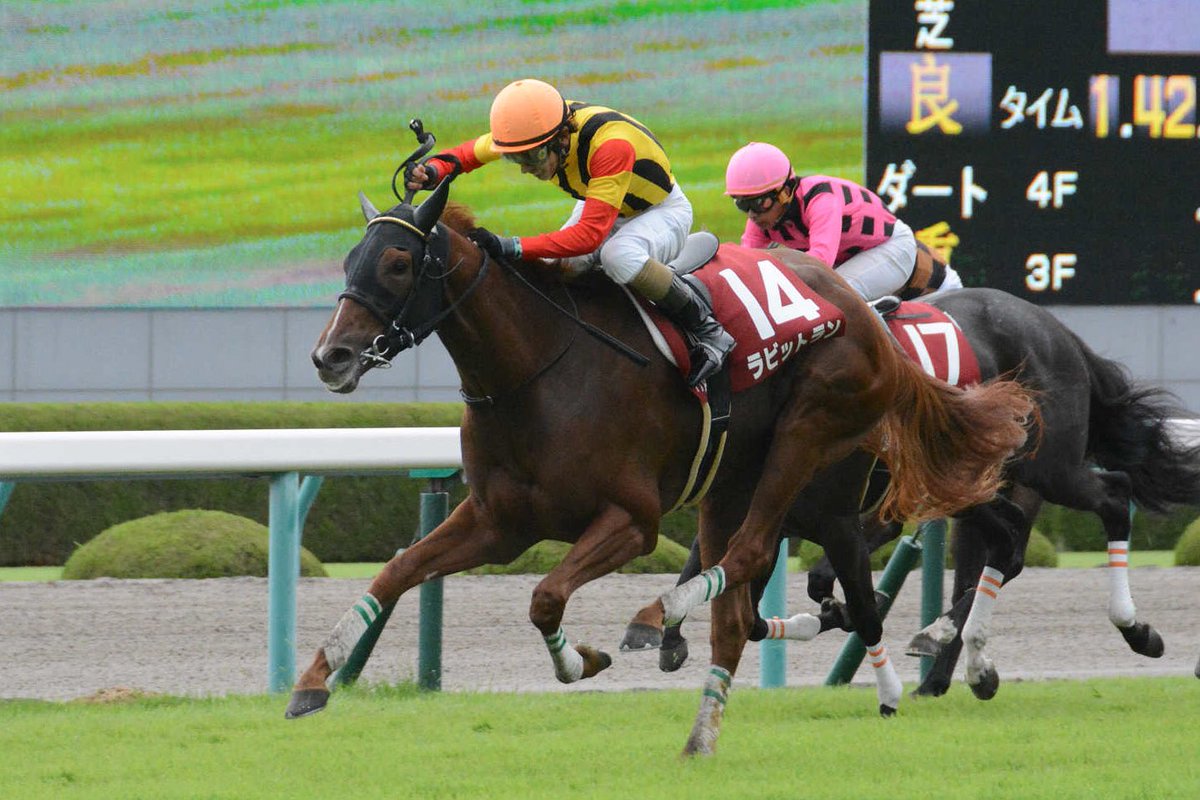 阪神牝馬S2018の競馬予想データ分析…4つの注目点から浮上する激走馬は？