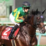 阪神大賞典2018の最新人気・予想オッズ、出走予定馬は?過去の歴代勝ち馬一覧
