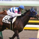 チューリップ賞2018の競馬予想分析…マウレアが巻き返しを図る3つのポイントとは?