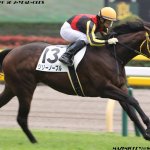 チューリップ賞2018の競馬予想分析…リリーノーブル好走の根拠を示す3つのデータ