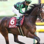 シンザン記念2018の競馬予想分析…カシアス、入り交じる2つの期待と不安とは?