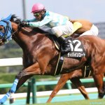 阪急杯2018の最新人気・予想オッズ、出走予定馬は?過去の歴代勝ち馬一覧