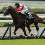 京都金杯2018の競馬予想分析、結果発表!回収率185超のデータ該当馬とは?