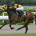 阪急杯2019の競馬予想データ分析!過去10年の傾向は?